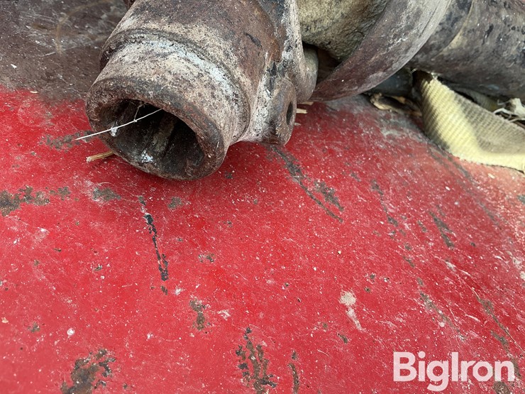 international-56-image-15