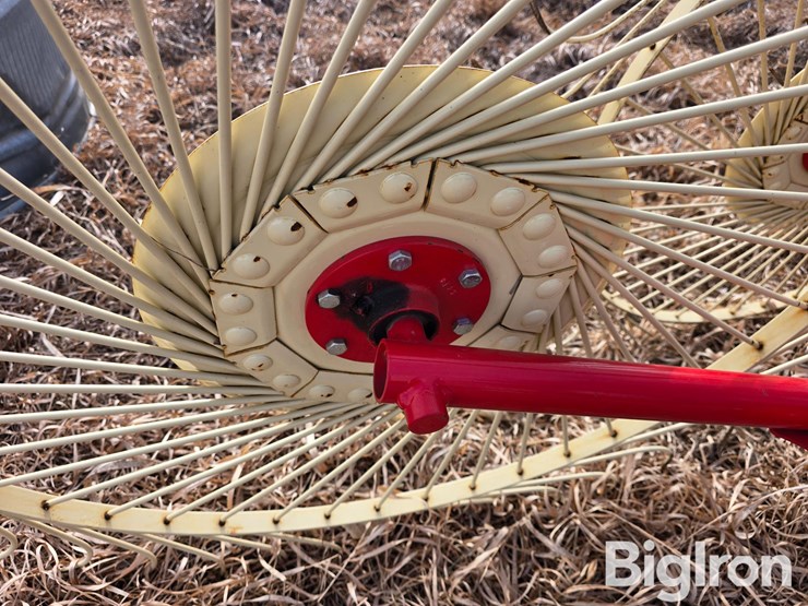 2022-enorossi-rp5-image-12