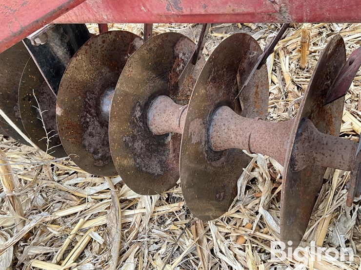 international-490-image-13