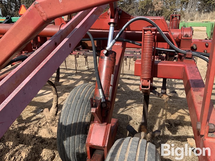 sunflower-5431-image-13