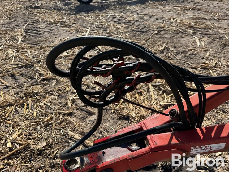 sunflower-1433-image-11