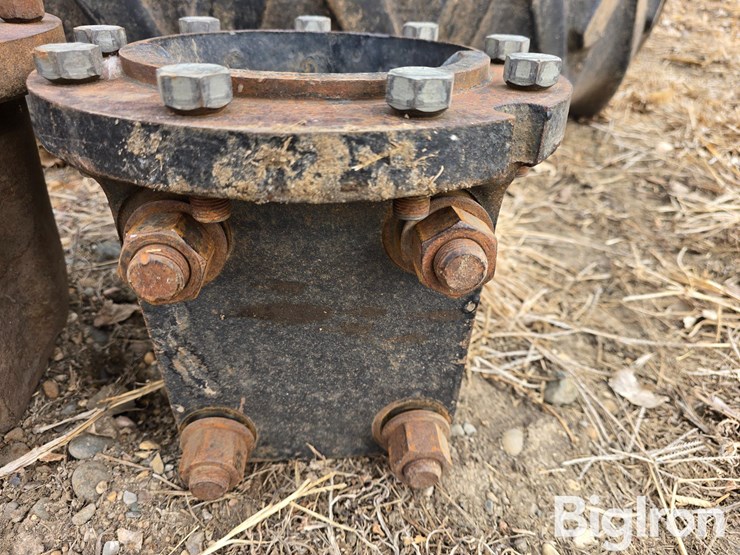 international-18-image-20