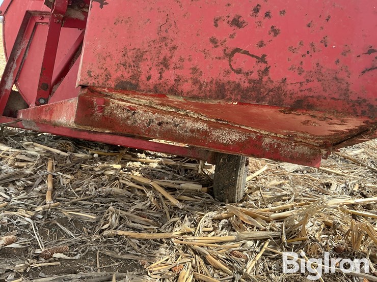 international-56-image-11