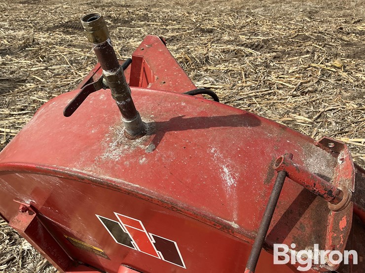 international-56-image-10