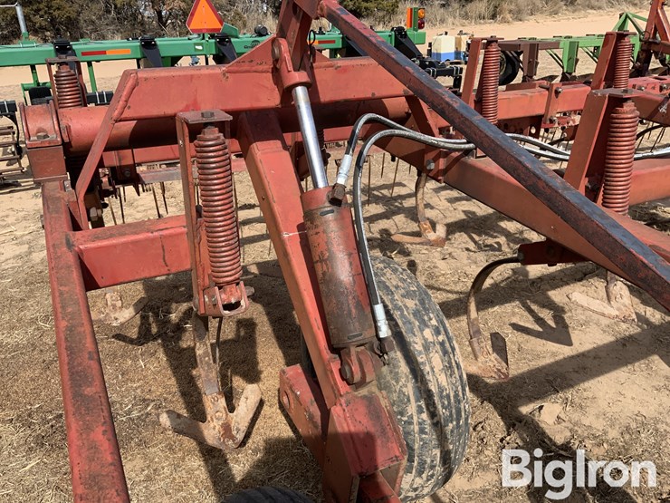 sunflower-5431-image-15