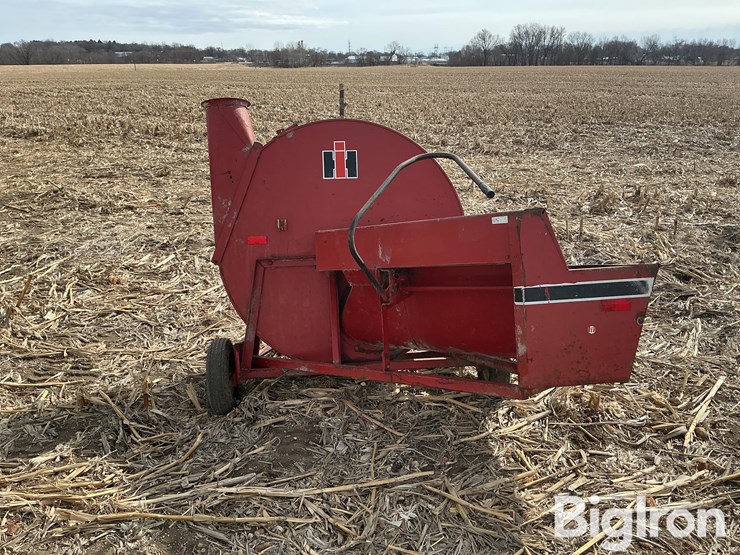 international-56-image-6