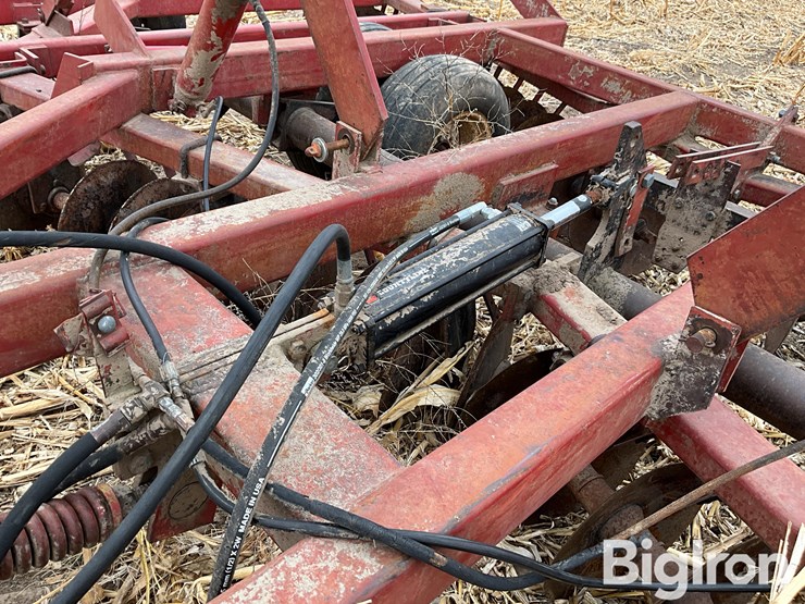 international-490-image-11