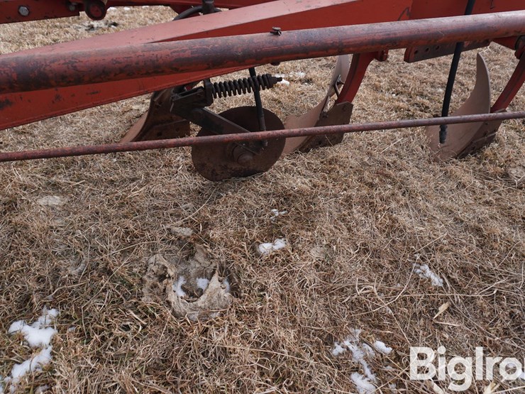 international-710-image-12