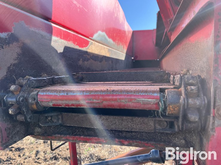 kelly-ryan-5x14-image-20