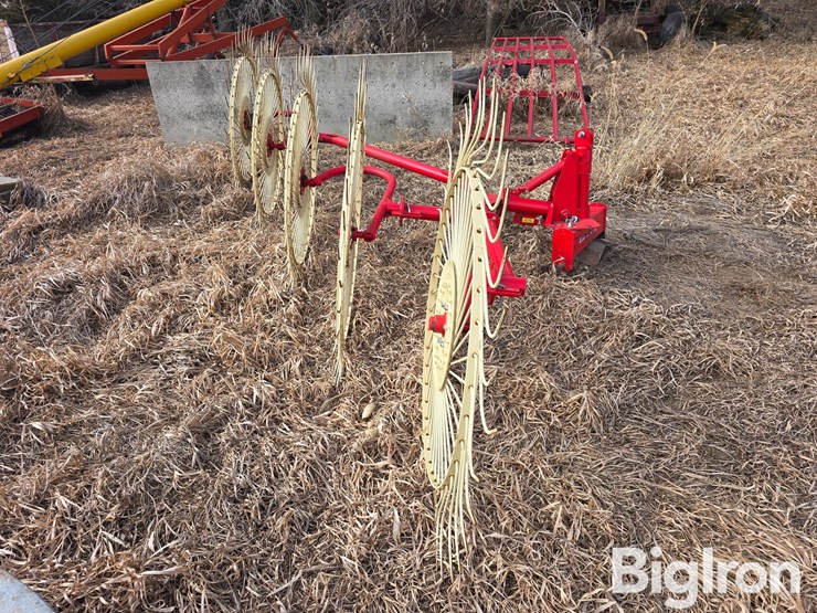 2022-enorossi-rp5-image-4