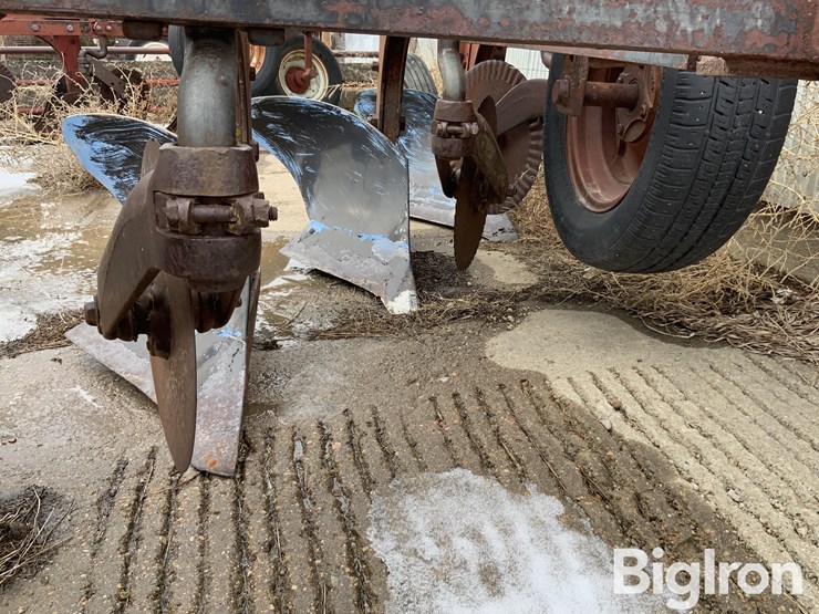 international-411-image-12