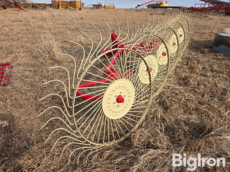 2022-enorossi-rp5-image-7