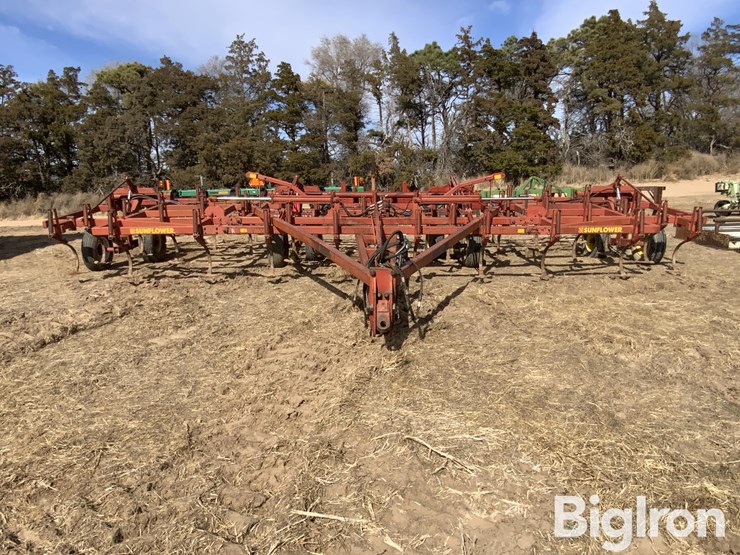 sunflower-5431-image-2