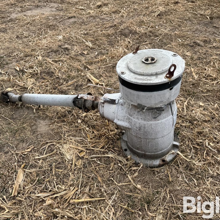 Randolph 11:10 Gear Head