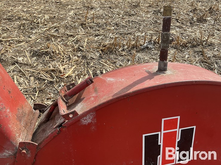 international-56-image-12