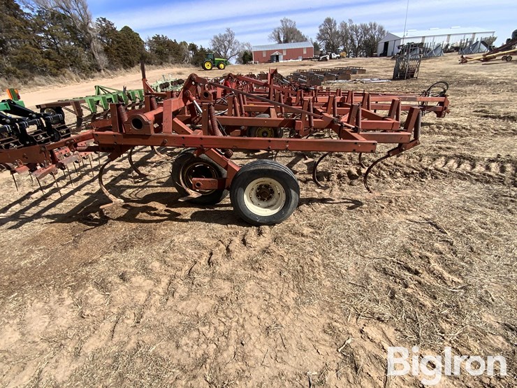 sunflower-5431-image-4