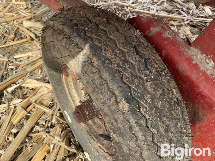 international-56-image-19