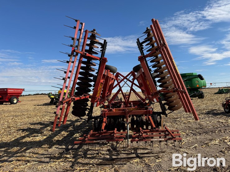 sunflower-1433-image-6