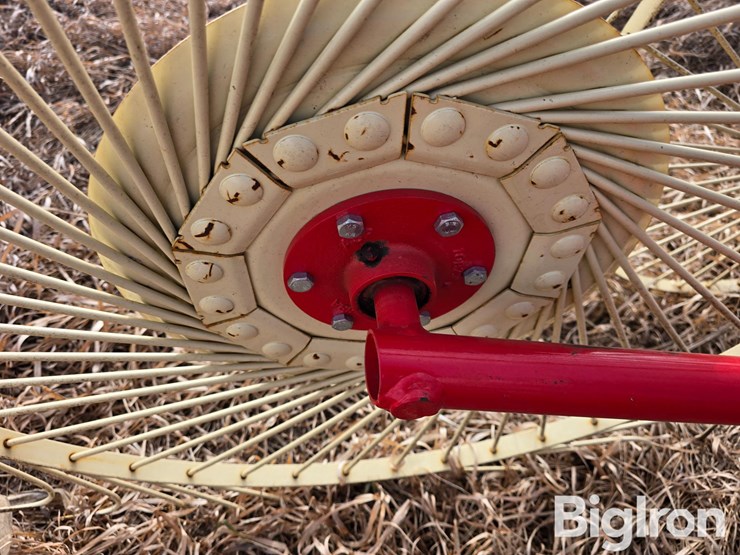 2022-enorossi-rp5-image-13