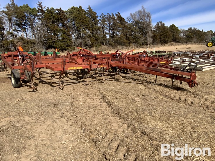 sunflower-5431-image-3