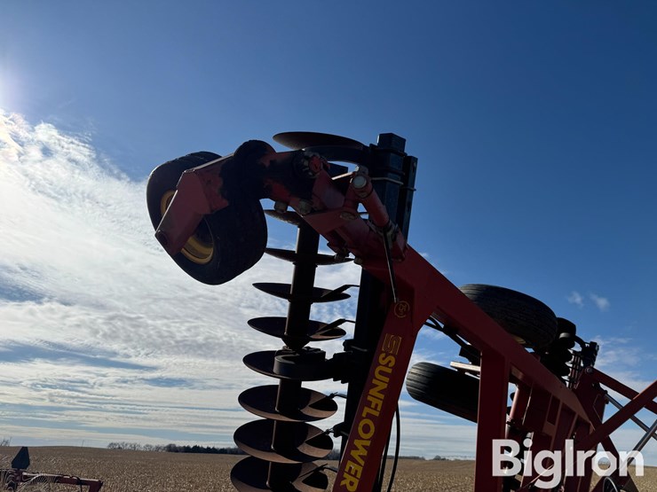 sunflower-1433-image-19