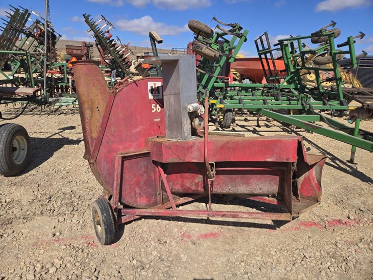 international-56-image-4