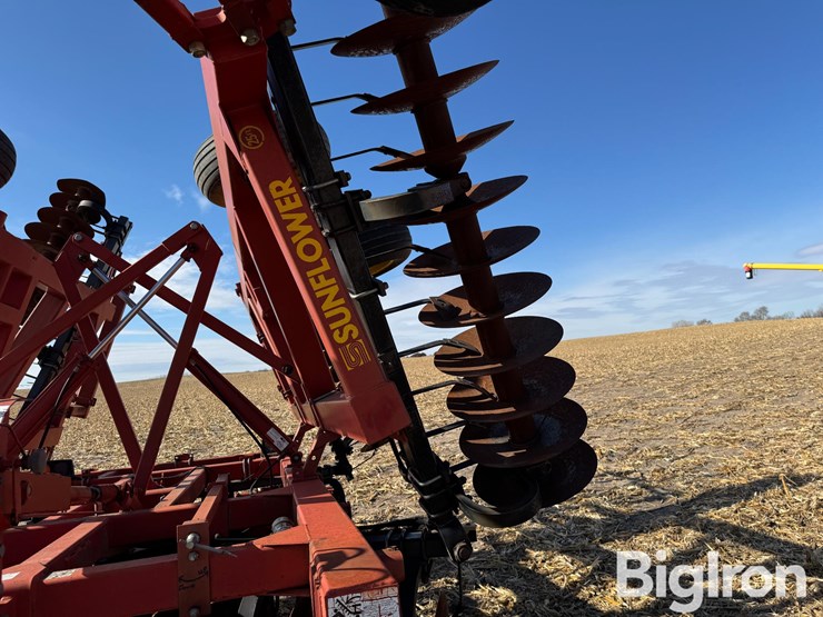 sunflower-1433-image-17