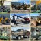 doll-lumber-–-absolute-sawmill-&-forestry-equipment-auction-–-southington,-oh-image-2