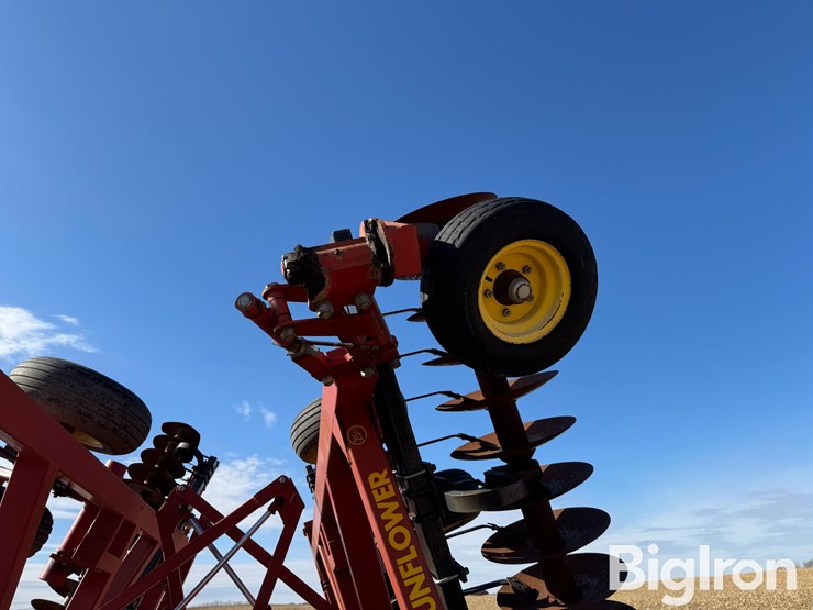 sunflower-1433-image-18