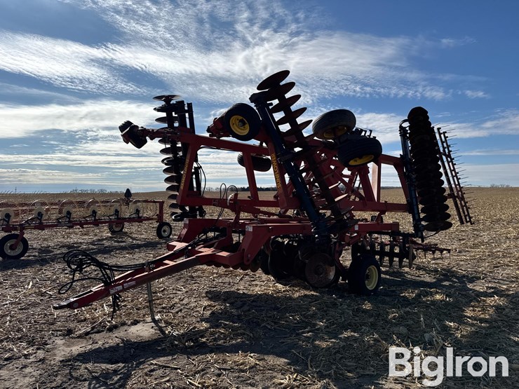 sunflower-1433-image-3