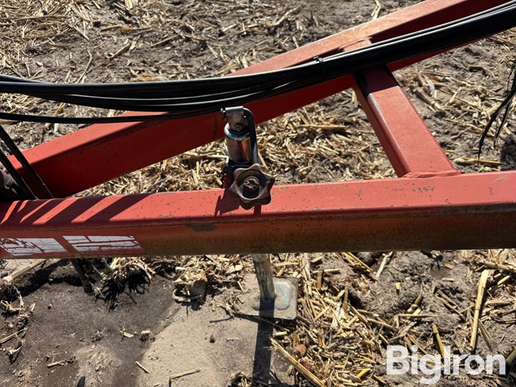 sunflower-1433-image-13