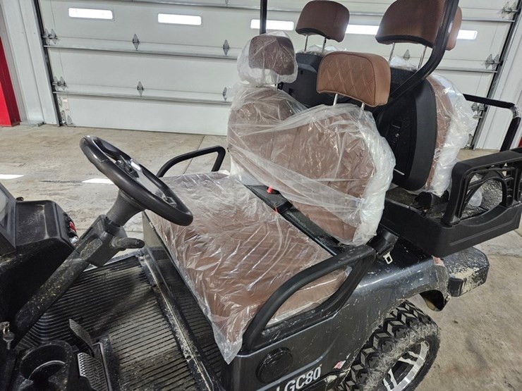 #679-•-2026-sd-lanch-electric-golf-cart-image-16