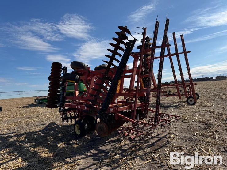 sunflower-1433-image-5