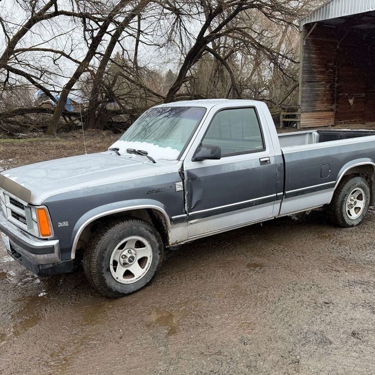 DODGE DAKOTA