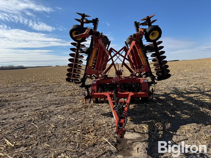 sunflower-1433-image-2