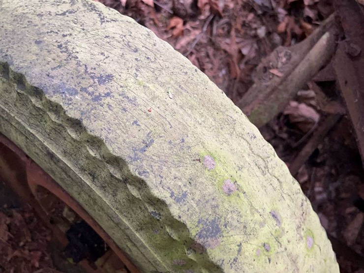 overland-doodlebug-image-5