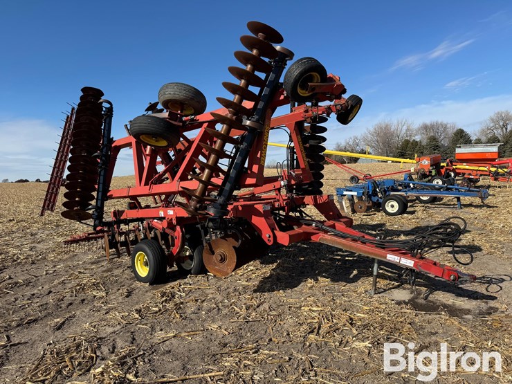 sunflower-1433-image-1