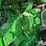 2013-john-deere-8285r-image-17