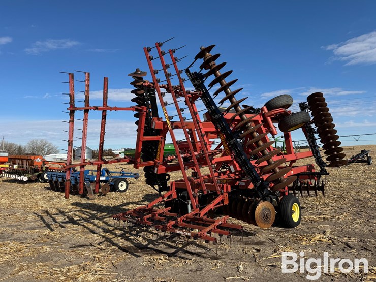 sunflower-1433-image-7