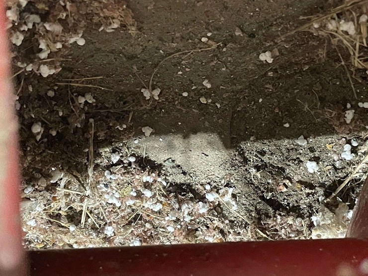 farm-king-10in-hydraulic-drive-unload-auger-image-14