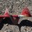 #281-•-earthquake-hand-held-gas-auger-image-3