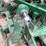 john-deere-1775nt-image-9