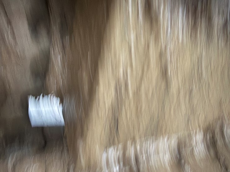 2022-sany-sy215c-lc-image-83