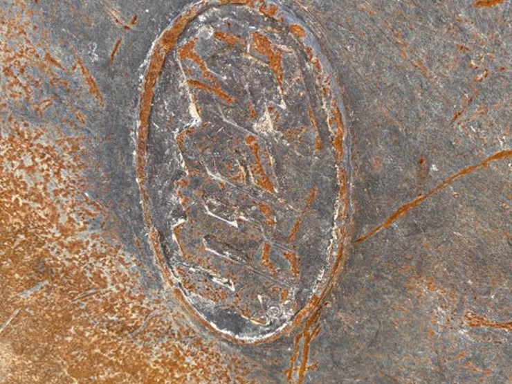 doosan-dx225-lc-3-image-4