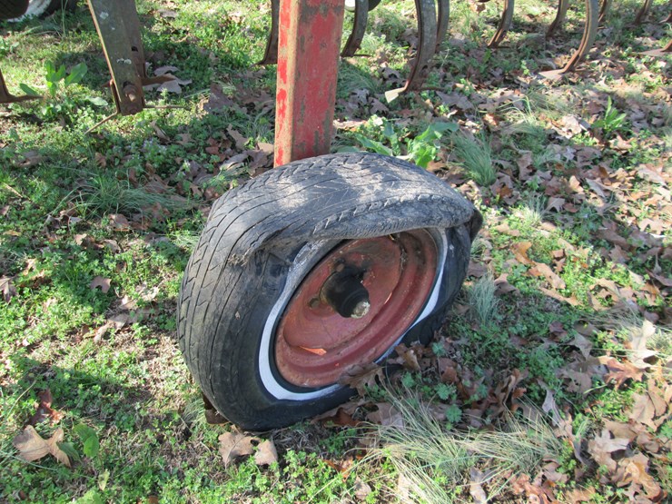 international-8-image-5