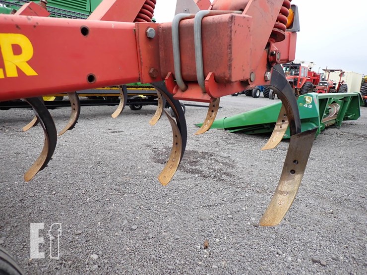 sunflower-4212-image-7