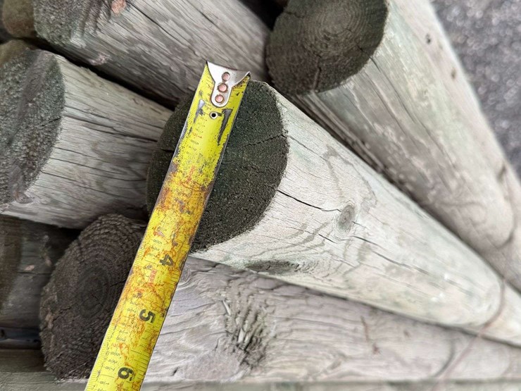 10'-pressure-treated-trellis-posts-image-5