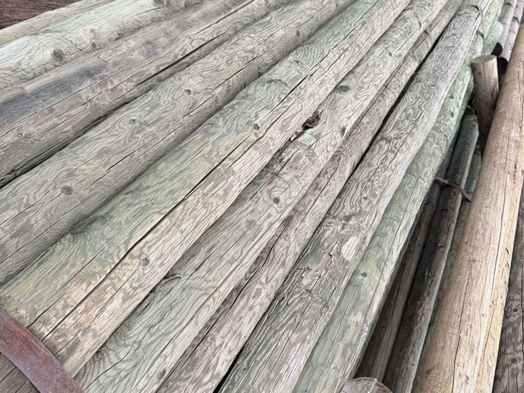 12'-pressure-treated-trellis-posts-image-9