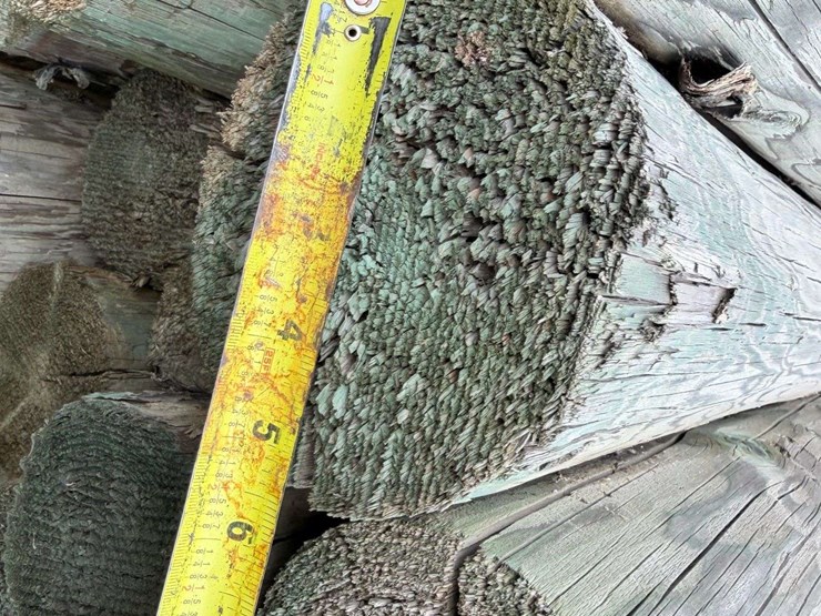 12'-pressure-treated-trellis-posts-image-6