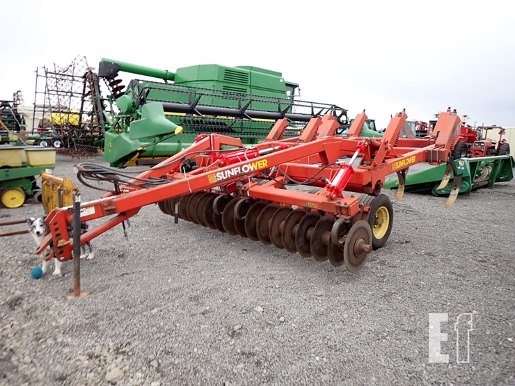 sunflower-4212-image-2